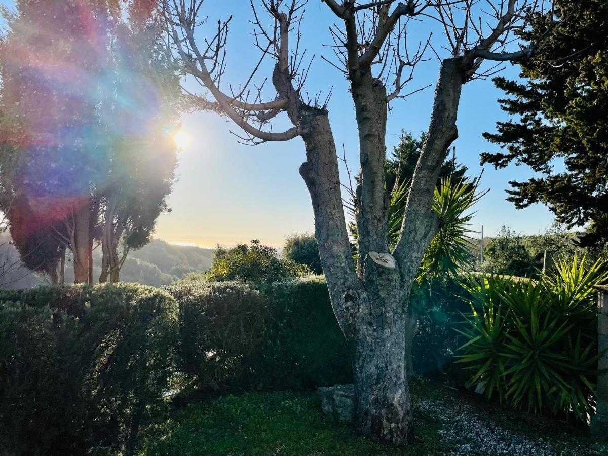 Casetta Luna E Sole Montescudaio Luaran gambar